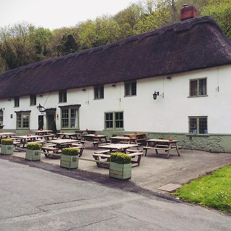 Hambro Arms Hotel Milton Abbas Eksteriør billede