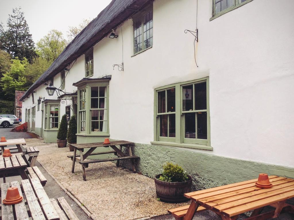 Hambro Arms Hotel Milton Abbas Eksteriør billede