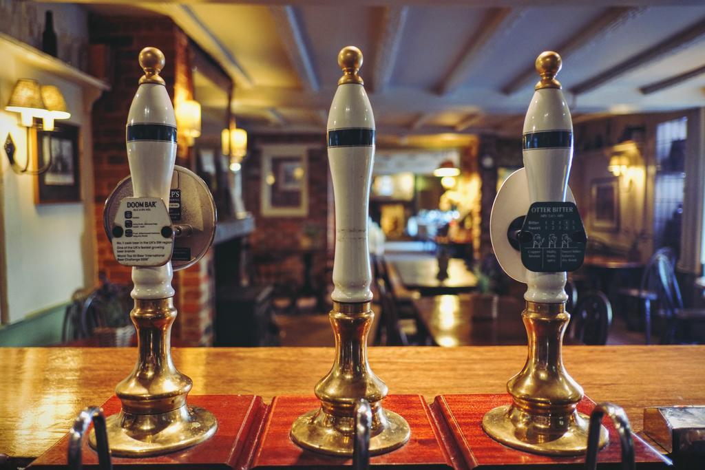 Hambro Arms Hotel Milton Abbas Eksteriør billede