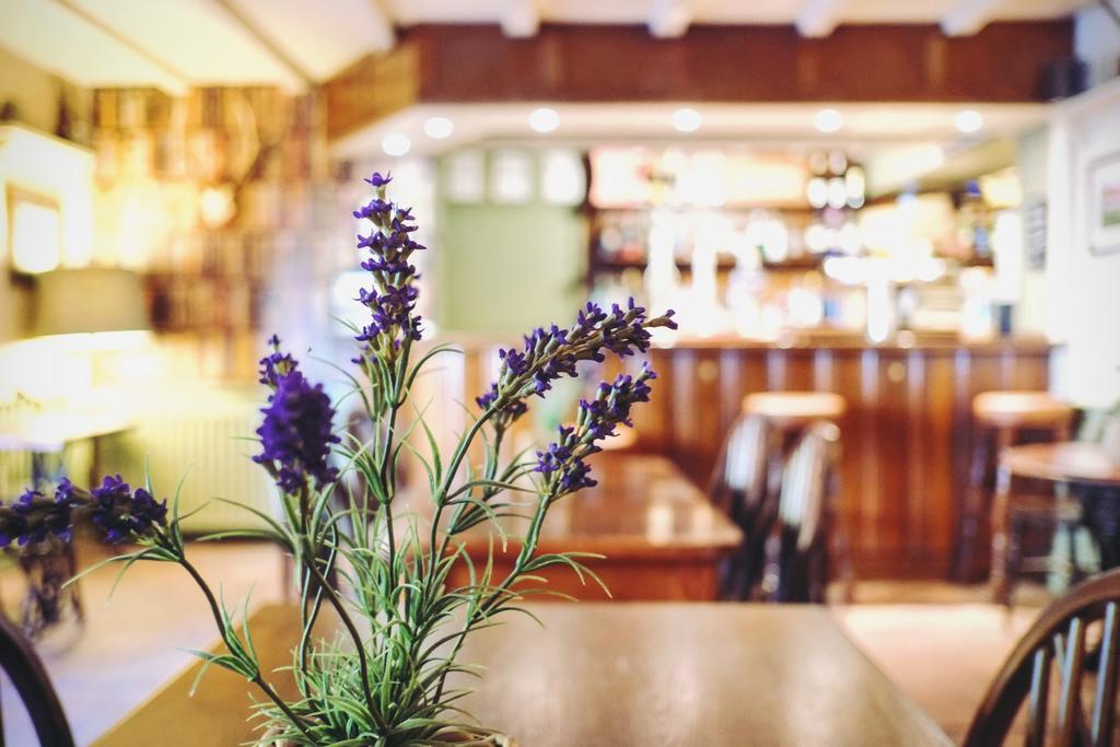 Hambro Arms Hotel Milton Abbas Eksteriør billede