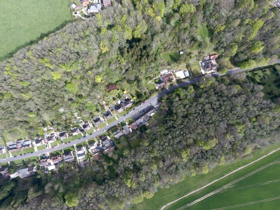 Hambro Arms Hotel Milton Abbas Eksteriør billede