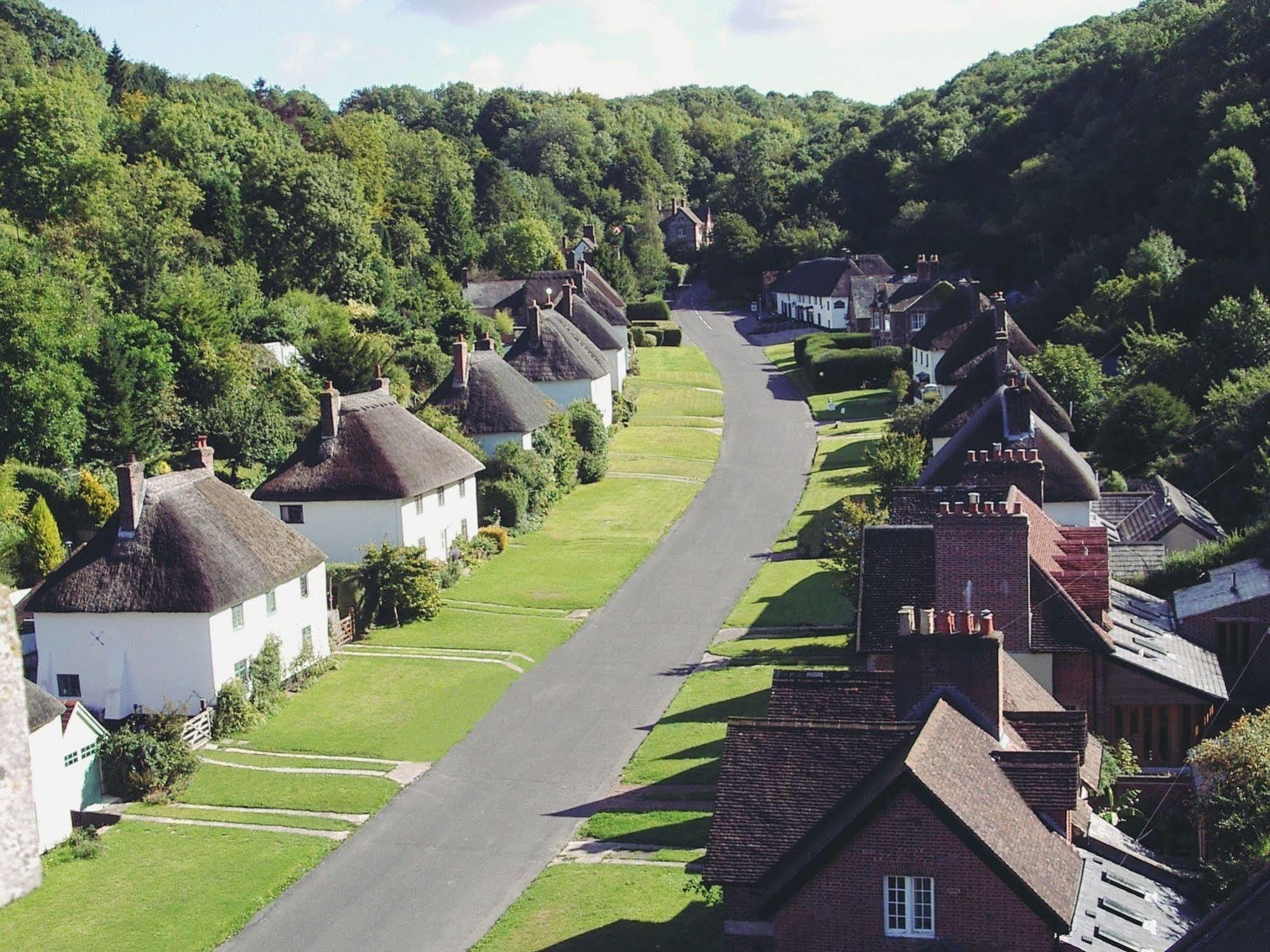 Hambro Arms Hotel Milton Abbas Eksteriør billede
