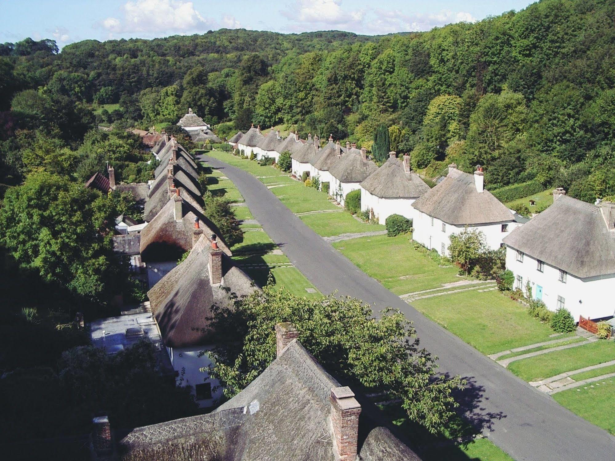 Hambro Arms Hotel Milton Abbas Eksteriør billede
